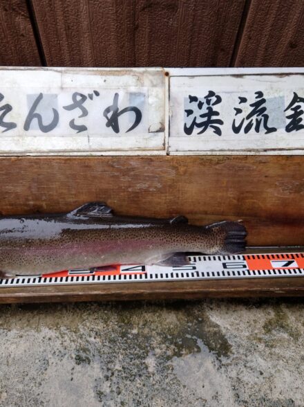 雨おかげで大物ゲット？！うらたんざわ渓流釣場