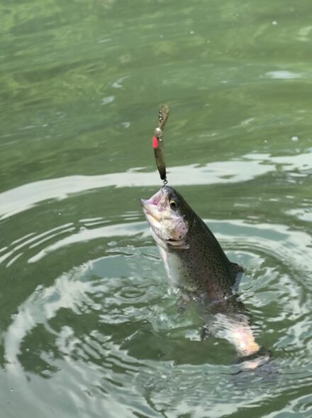 サンク第3で友釣り