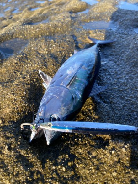 釣りの秋開幕！