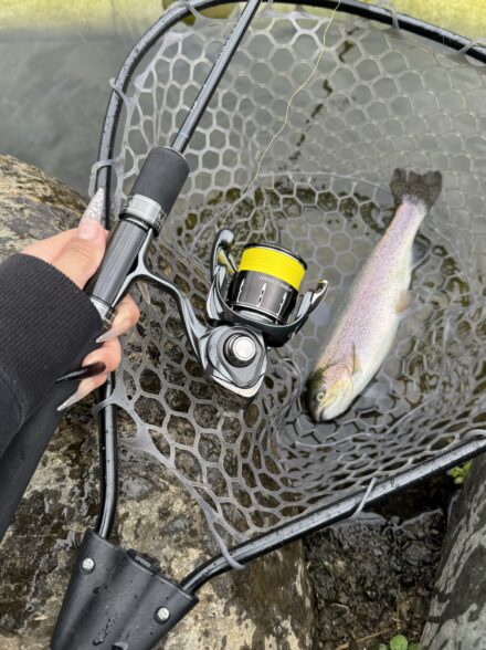 開幕！王禅寺イチロー池調査🐟✨