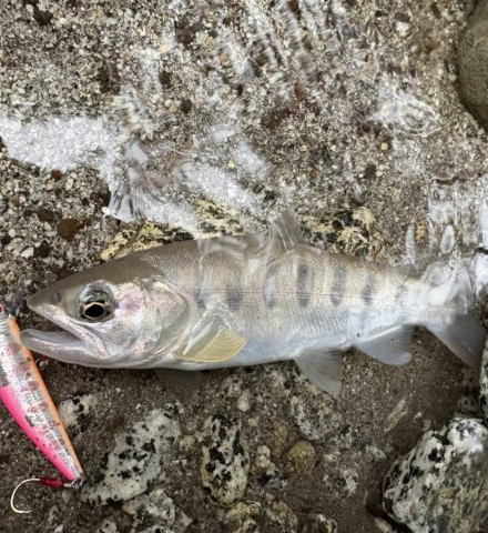 秋の気配感じる渓流