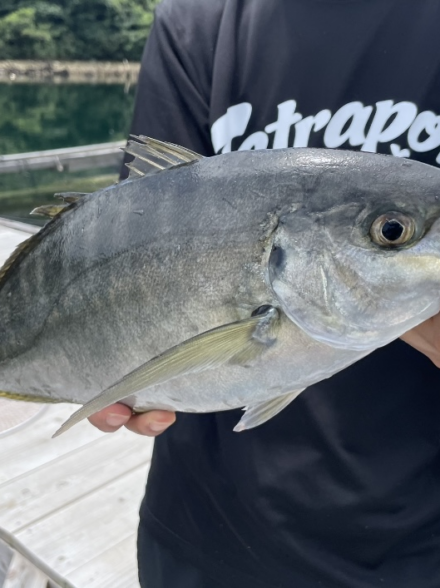 久しぶりの釣り