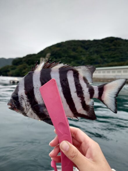 念願の筏釣り