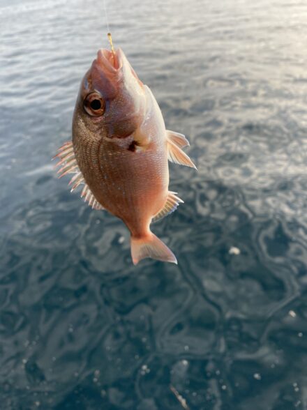 堤防でまったり楽しむ小物釣り！