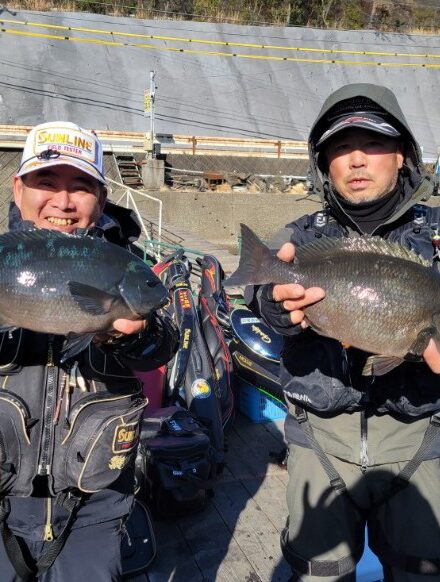 三重県　古和浦のグレ