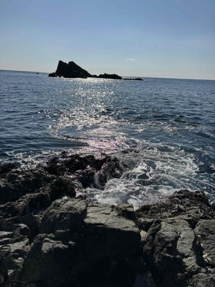 三重　やままる渡船釣行