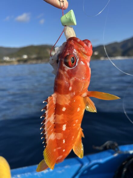 極寒のカセ釣り