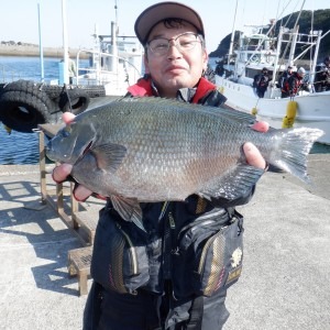 寒グレ終盤戦の串本出雲崎釣行