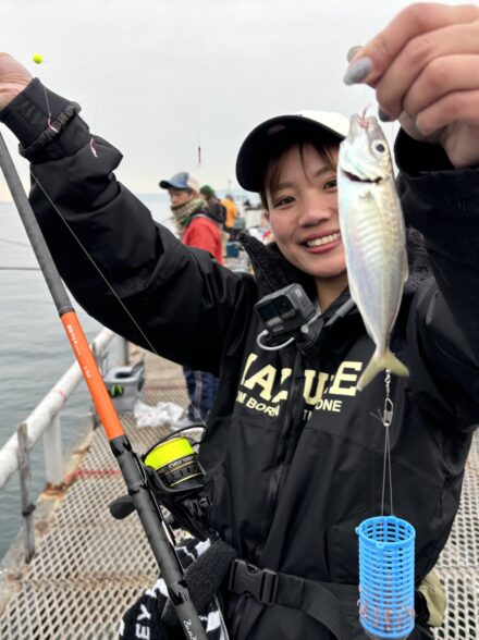アジ爆釣🎣