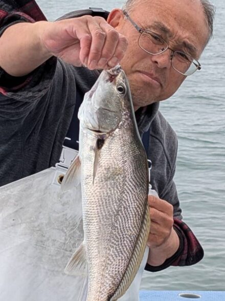ライトヒラメに挑戦！！ 〜相模湾はカタクチイワシの接岸で激アツ！？〜