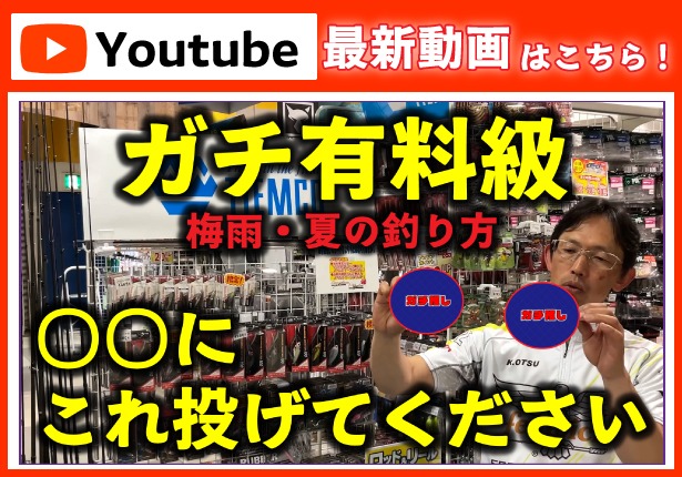 【最新動画】【ガチ有料級】大津プロ「これ見れば梅雨も夏も、もう怖くありません」