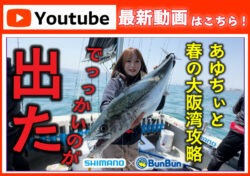 【最新動画】あゆちぃがブレードジギングで巨大サワラを仕留める‼【シマノ×ブンブン】