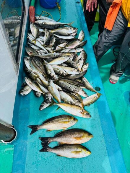 和歌山中紀アジ・イサキ釣り
