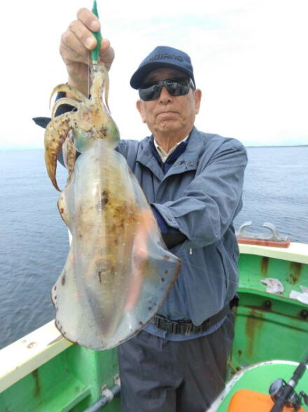 相模湾奥にて当たり年の春アオリイカ狙い・その④！！