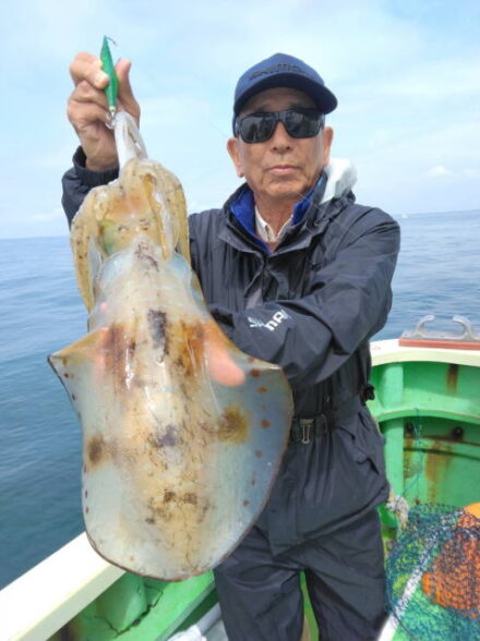 相模湾奥にて当たり年の春アオリイカ狙い・その⑥！！