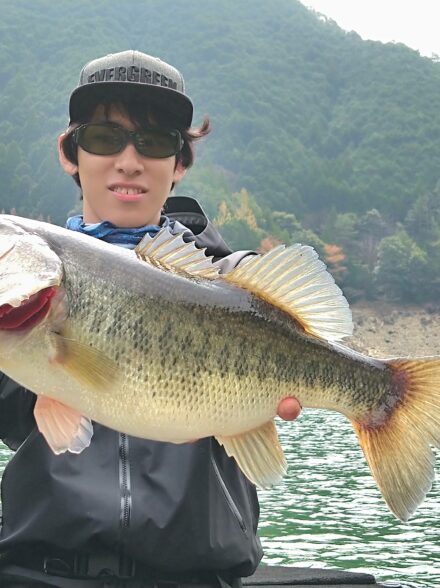 春爆一歩手前の池原ダム
