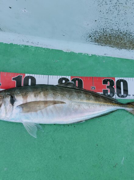 初挑戦✨中深場五目釣り🎣