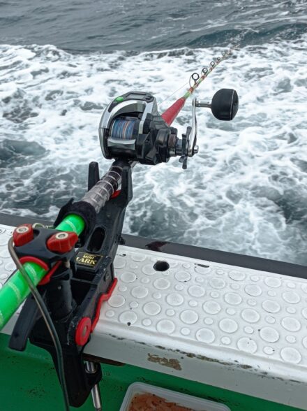 ❤️7年ぶりのコマセ真鯛🎣❤️