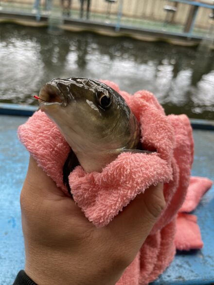 癒しのウキ釣り🎣