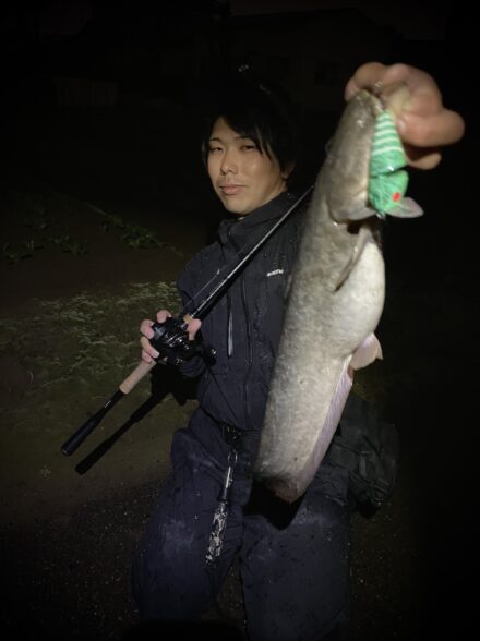 春のナマズ祭り！