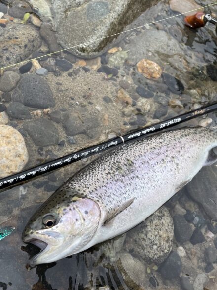 再River　敢えて食らう、攻めの受け身