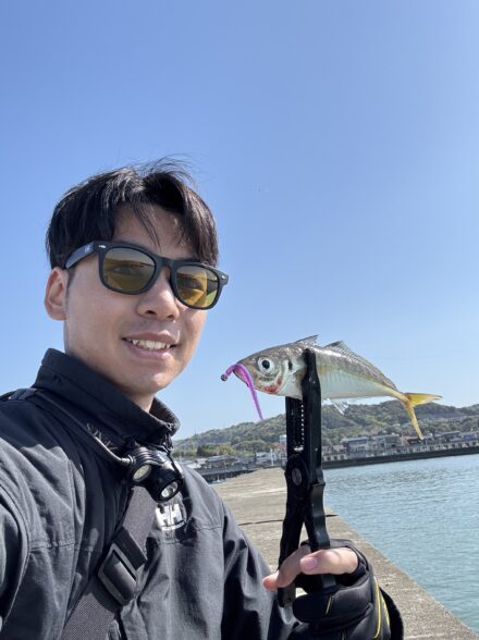 和歌山県アジング釣行vol3