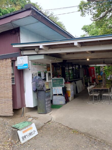 試行錯誤のヘラブナ釣行