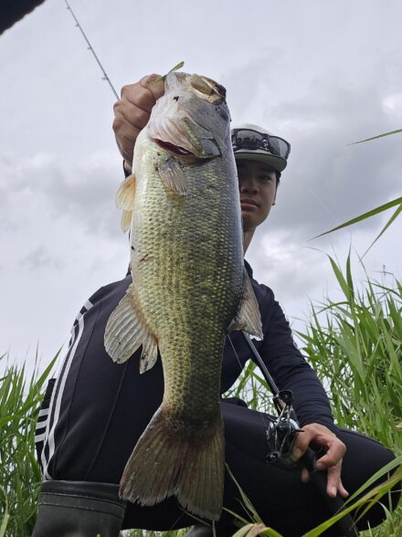 バス釣りネコリグ編