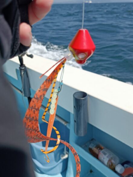 ⚓️タイラバ初体験🎣