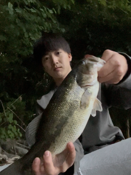 藤本釣行便 バス釣り編 in津久井湖