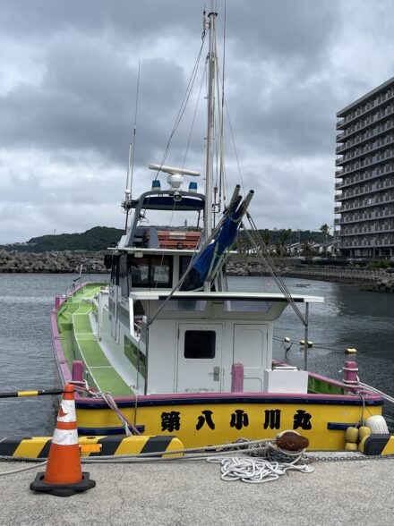 藤本釣行便 ビシアジ編