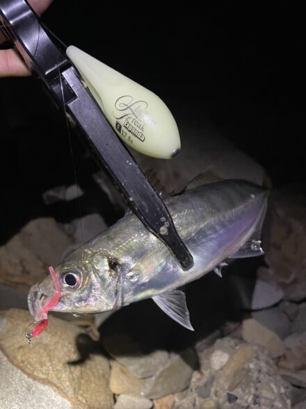 泉南フロートゲーム🎣