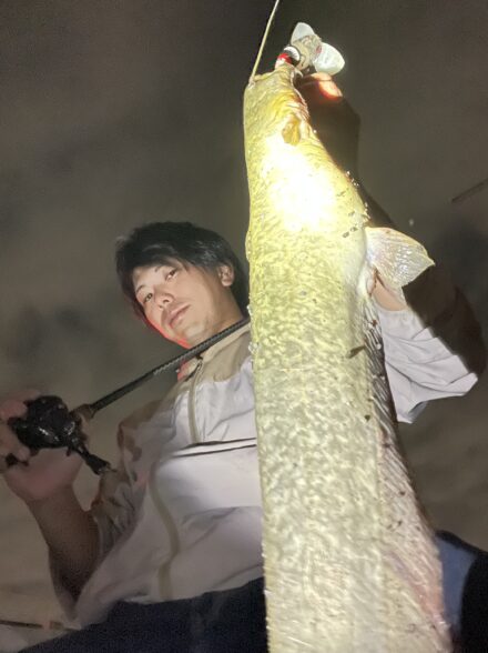 ナジーバグベイビー無双！