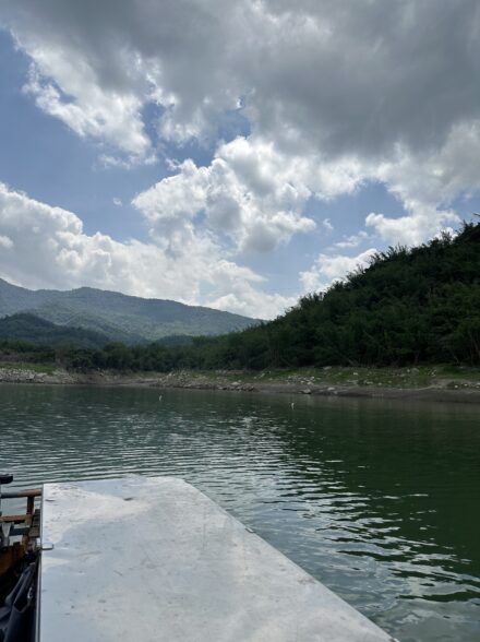 東南アジアの怪魚トーマン