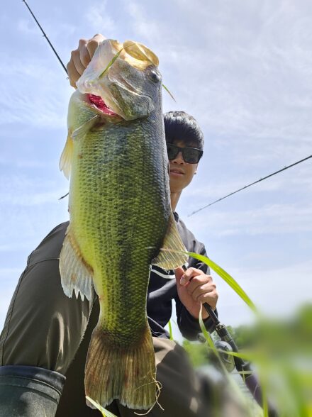 春のスピナーベイティング3