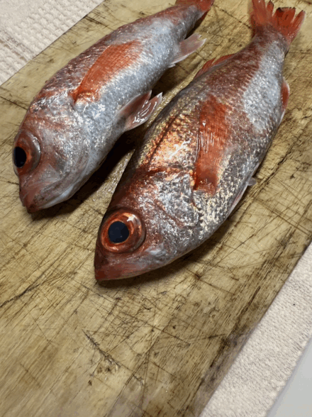 初めてのアカムツ釣り🎣