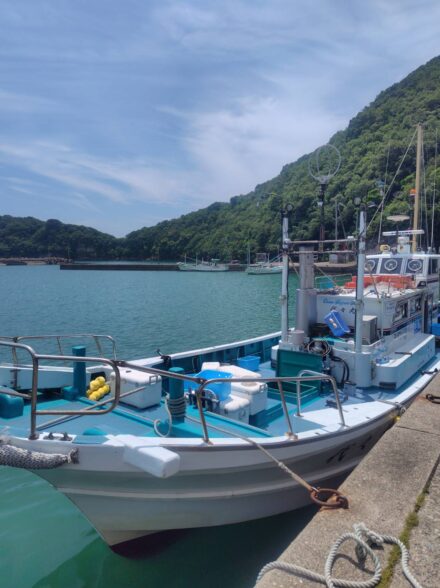 南紀落とし込み釣り