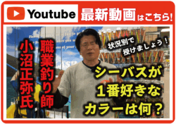【最新動画】オヌマンにシーバス状況別特化カラーを聞いてみたら…