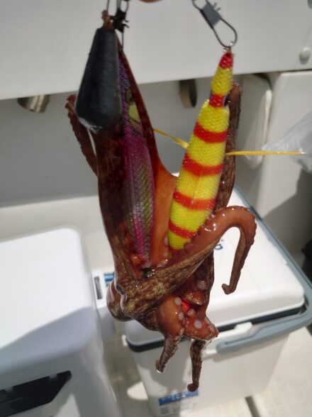 人生初の船タコ釣行！！