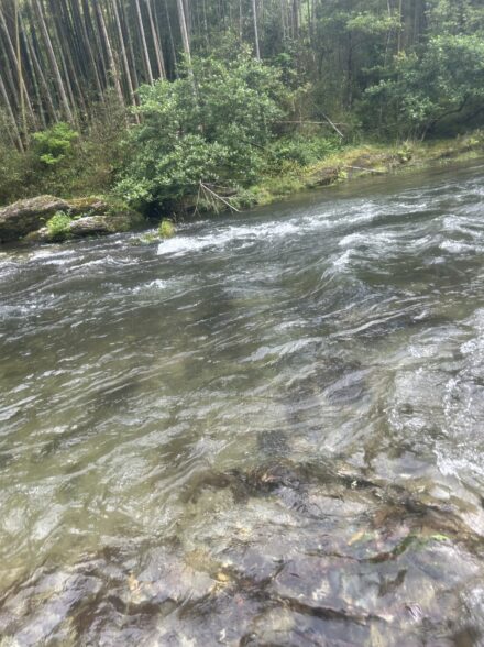 高見川釣行