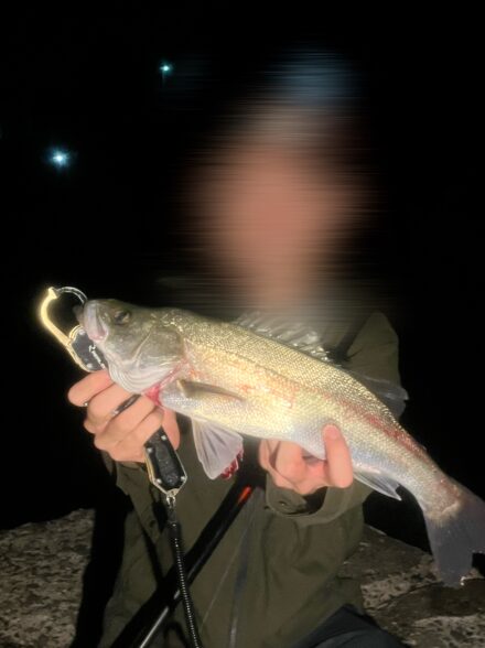 高田釣行便　須磨メバリング