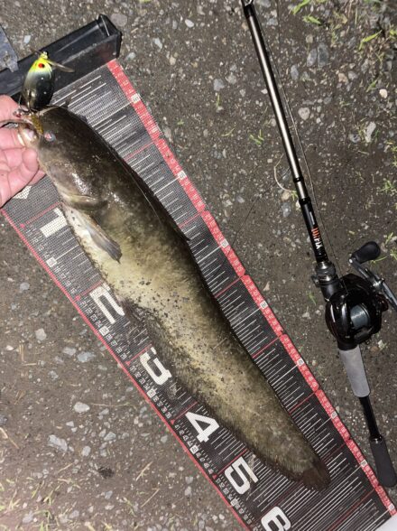 久々水路で2キャッチ！