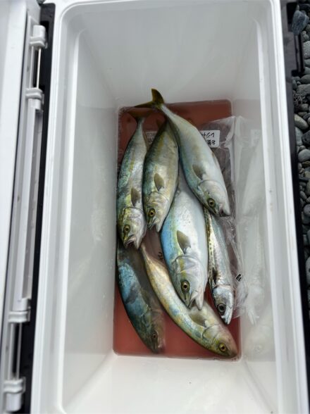 ライト仕様で狙う西湘サーフ小型青物