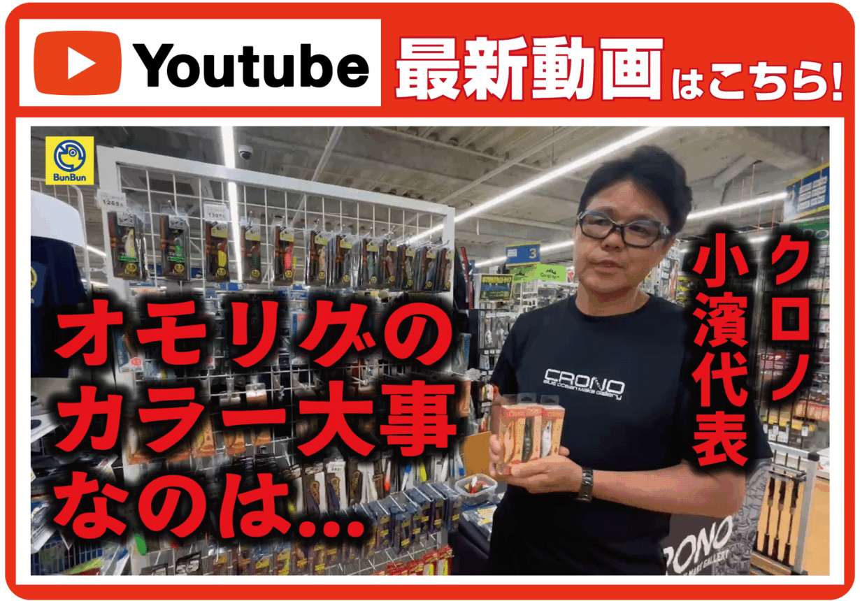 【最新動画】【イカメタル】これが専門家のカラー理論【オモリグ】