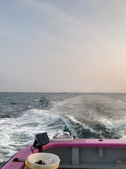 相模湾コマセマグカツ初戦