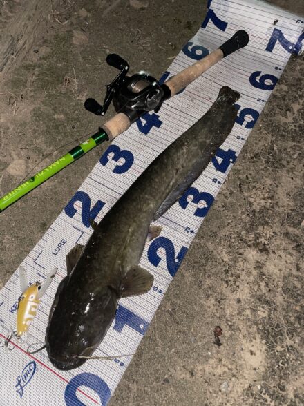 ナマズ釣行 &防水フィッシングショルダーバック