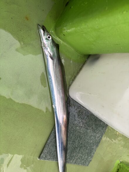 初めてのバイブレーション釣法！