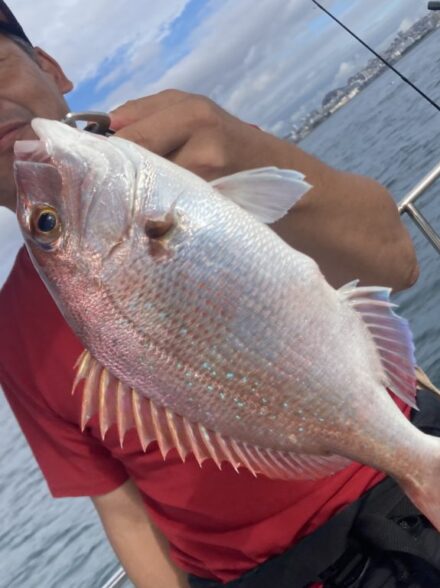 明石沖タイラバまだまだいけます！