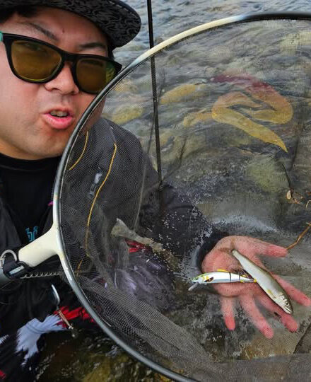 長良川　アユイング→友釣り