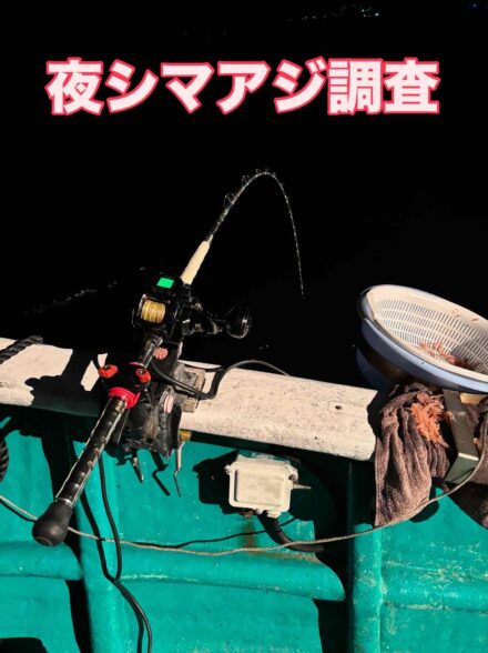久美丸 夜シマアジ調査